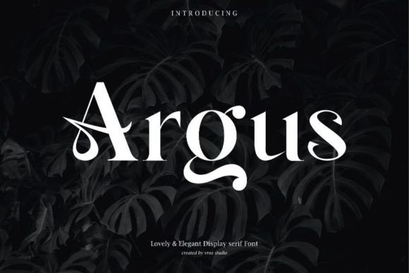 Argus Serif Font By Vroz Studio