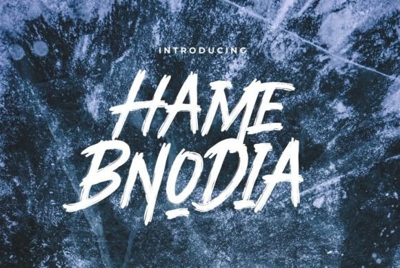 Hame Bnodia Display-Schriftarten Schriftart Von Authentic Studio