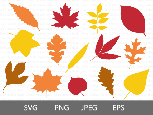 Fall Leaves Silhouette Svg Bundle Graphic Crafts By ColesCreativeStuio