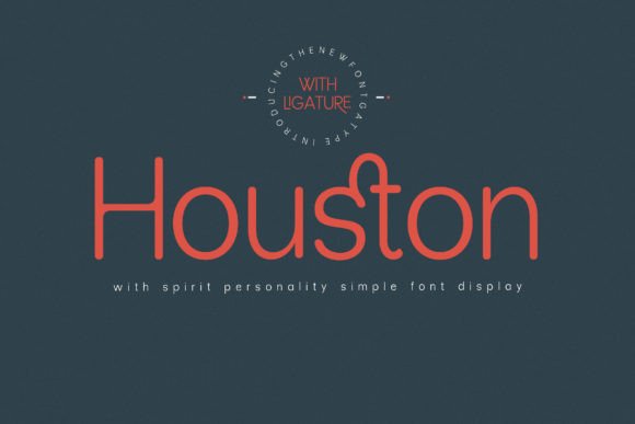 Houston Serif Font By gatype