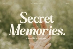 Secret Memories Serif Font By Flawless And Co 1
