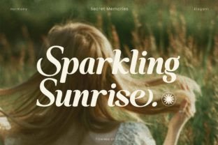 Secret Memories Serif Font By Flawless And Co 2