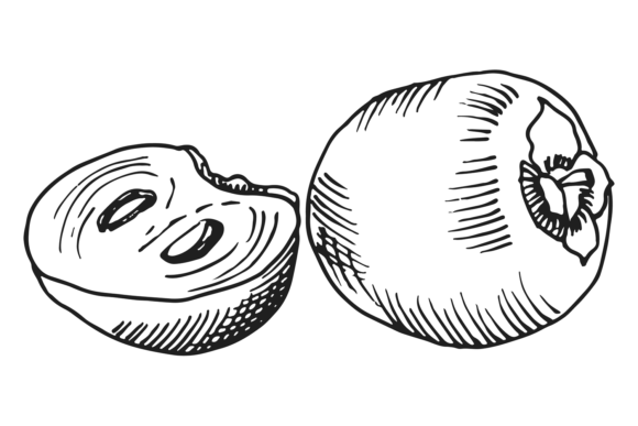 Persimmon Sketch. Whole Fruit and Half C Afbeelding Afdrukbare Illustraties Door onyxproj
