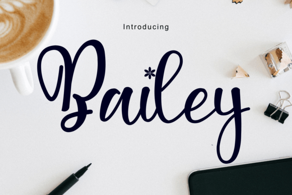 Bailey Script & Handwritten Font By Infontree