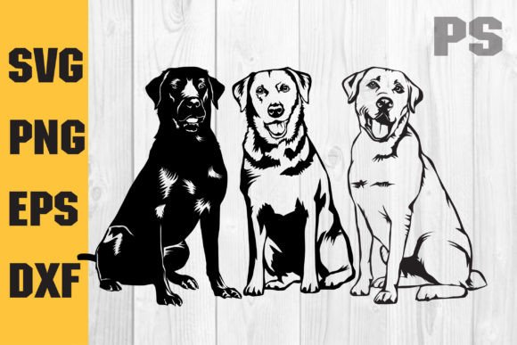 Labrador Svg, Dog Svg Cricut Graphic Crafts By ILukkystore