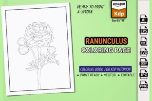 Buttercup, Ranunculus Flower Graphic Coloring Pages & Books By GraphicArt 1