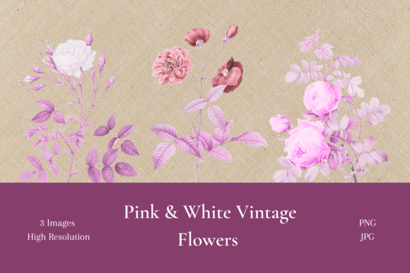 Pink & White Vintage Flowers Graphic Illustrations By daphnekstudio