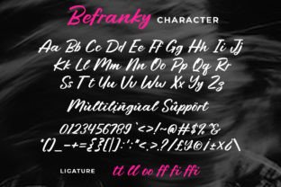 Befranky Script Fonts Font Door Beautypes 6