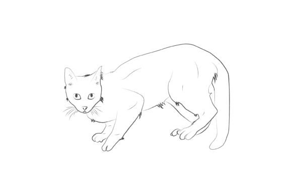 Kitty Cat Line Art Vector Illustration Gráfico Ilustraciones Imprimibles Por md.shahalamxy