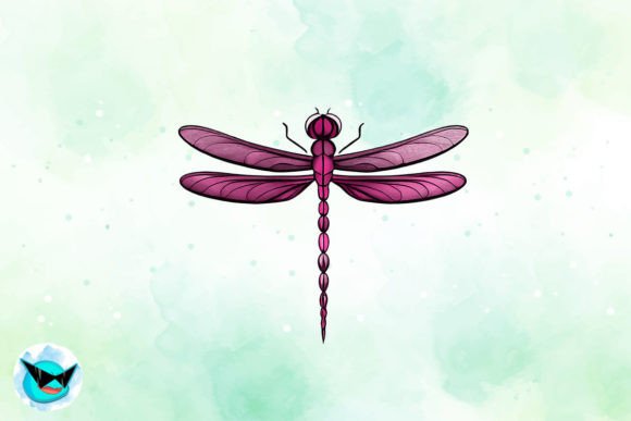 Pink Dragonfly Sublimation Graphic Illustrations By Swirltal