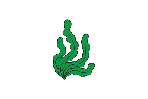 Green Coral Reef Graphic Icons By galaxystudio645
