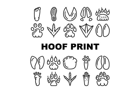 Hoof Print Animal Gráfico Iconos Por sevvectors