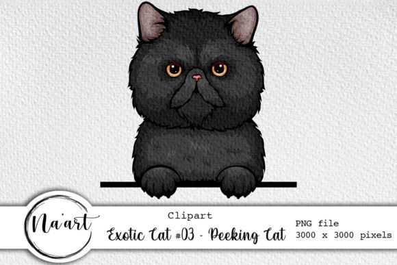 Exotic Cat #03 – Peeking Cat Graphic Illustrations By Na'Art