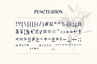 Westiva Serif Font By asenbayu 13