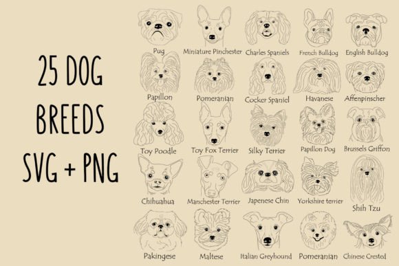 Dog Breed Svg Bundle Graphic Crafts By svgxoxo