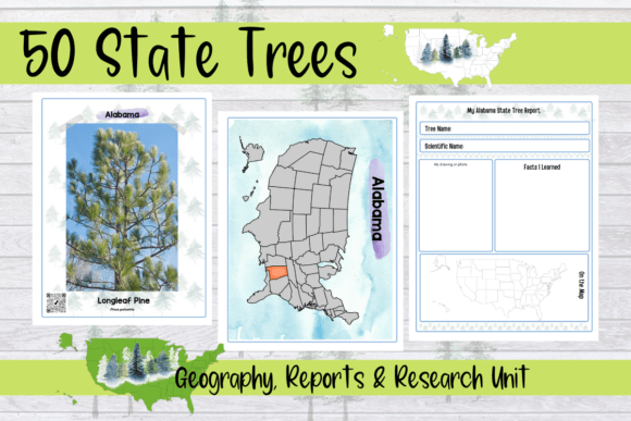 50 State Trees Reports and Learning Maps Graphic 3rd grade By MessyBeautifulFun