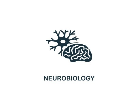 Neurobiology Icon Graphic Icons By aimagenarium