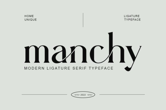 Manchy Serif Font By dylla studio
