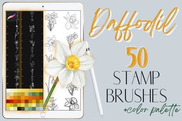 Procreate Daffodil Flowers Stamp Brushes Grafica Spazzole Di Calcool