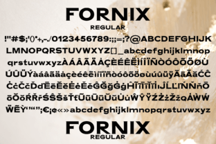Fornix Slab Serif Font By Minimalistartstudio 5