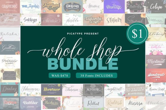 Whole Shop Bundle Bundle By Picatype Studio