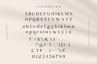 Clust Serif Font By The_Type 12