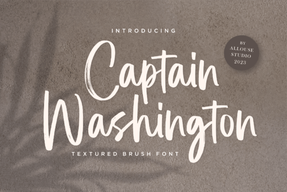Captain Washington Script & Handwritten Font By allouse.studio
