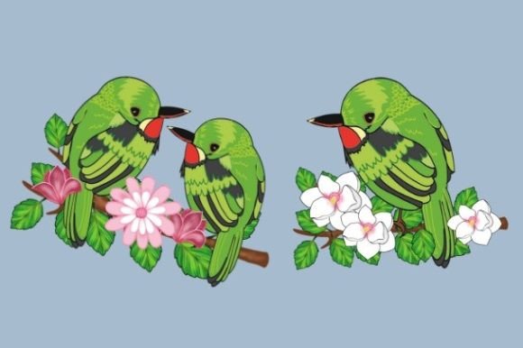 Bird Lovers Png Puerto Rican Tody Bird Graphic Illustrations By 988 studio Jay