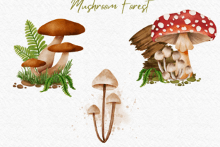 Mushroom Forest Watercolor Clipart Grafica Illustrazioni Stampabili Di Akiravilla 4
