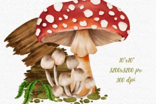 Mushroom Forest Watercolor Clipart Grafica Illustrazioni Stampabili Di Akiravilla 5