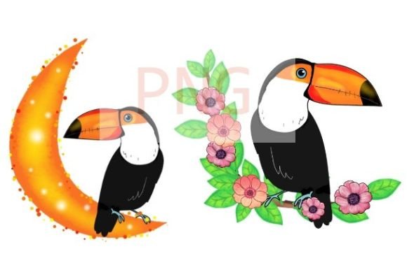 Toucan Bird Love Png Birds Nature Art Afbeelding Afdrukbare Illustraties Door 988 studio Jay