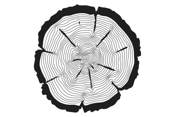 Wooden Rings Texture. Log Saw Cut Black Grafik Druckbare Illustrationen Von microvectorone