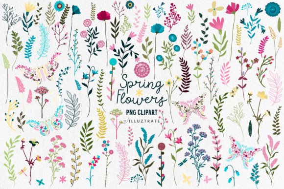 Spring Flowers PNG Clipart | Wild Flower Graphic Illustrations By illuztrate
