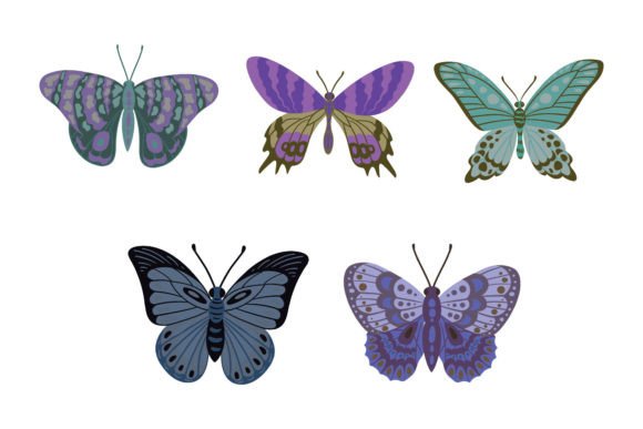 Butterfly Nature Vector Gráfico Ilustraciones Imprimibles Por fortunatagraphic