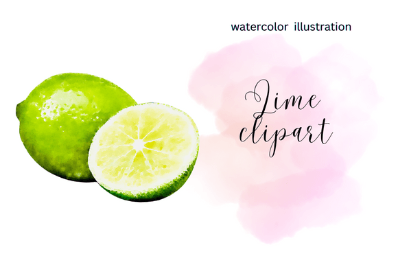 Watercolor Lime Illustration Clipart Graphic Illustrations By BONBON