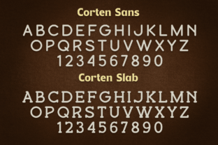 Corten Font Display Font Di Pasha Larin 11