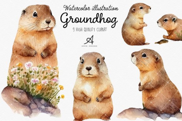 Watercolor Groundhog Clipart, Sublimatio Graphic Illustrations By ArvinDesigns