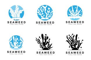 Seaweed Logo Design, Underwater Plant Graphic Illustrations By AR Graphic