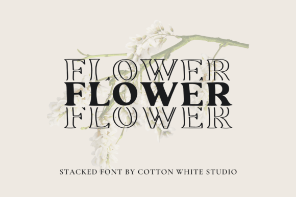 Flower Display Font By Cotton White Studio
