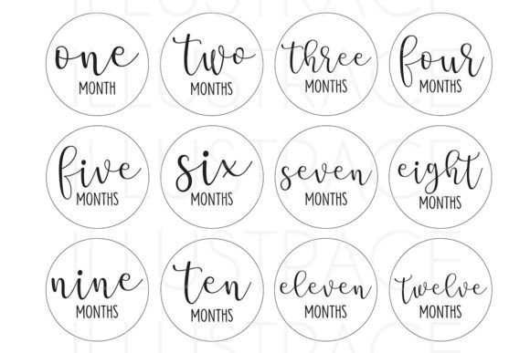 1-12 Baby Monthly Milestones Graphic Crafts By Illustrace