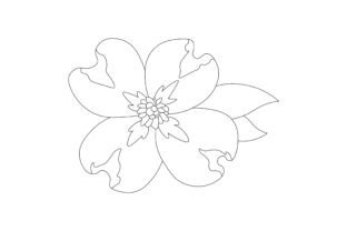 Virginia State Flower - Cornus Florida Staatsblumen Craft-Schnittdatei Von Creative Fabrica Crafts 2
