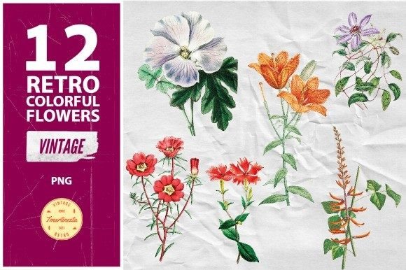 Vintage Retro Flowers Illustrations Grafik Druckbare Illustrationen Von tmartinezta