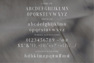 Flawsome Serif Font By Flawless And Co 9