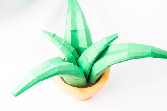 3D Plant - Aloe Vera Template Cactus et succulents Ressources SVG 3D pour les Loisirs Créatifs Par Creative Fabrica Crafts