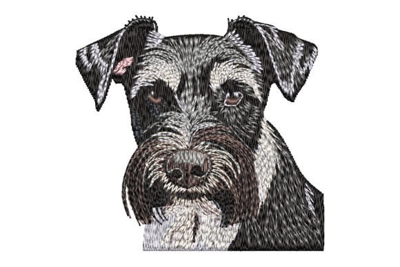 Miniature Schnauzer Dogs Embroidery Design By K&K Embroidery and Gifts