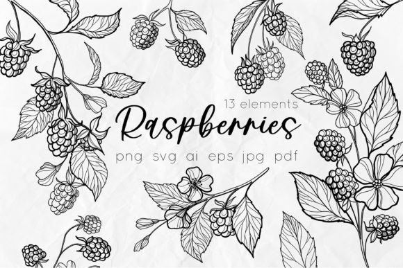 Raspberry Line Art SVG Drawings Graphic Illustrations By DervikArtStore