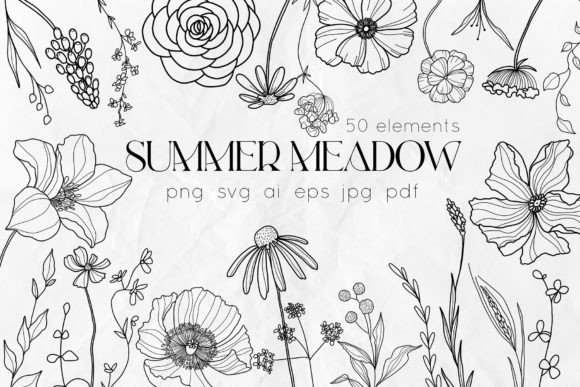 Summer Meadow Line Art Floral Svg Graphic Illustrations By DervikArtStore