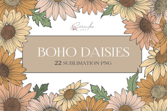 Daisy Clipart, Boho Flowers PNG Clipart Graphic Illustrations By CaraulanStore