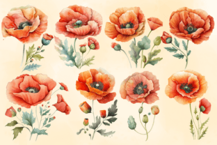 Poppy Flower Watercolor Clipart Graphic Print Templates By Digital Xpress 1