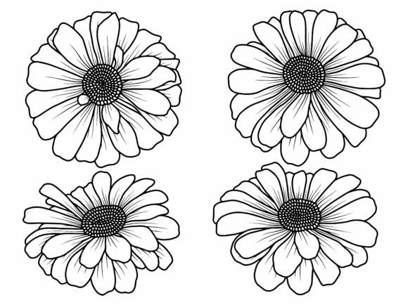 Hand Drawing Sketch Flower Line Art Illustration Illustrations Imprimables Par PurMoon